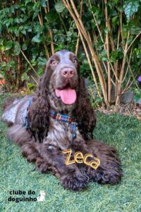 WhatsApp Image 2024-02-15 at 17.00.29 (1)