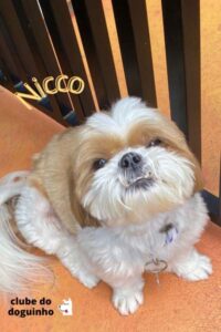 WhatsApp Image 2024-02-15 at 17.00.29