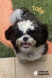 WhatsApp Image 2024-02-15 at 17.00.30 (1)