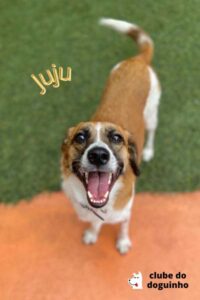 WhatsApp Image 2024-02-15 at 17.00.30 (2)