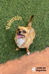 WhatsApp Image 2024-02-15 at 17.00.30