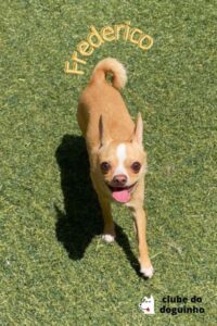 WhatsApp Image 2024-02-15 at 17.00.30 (3)