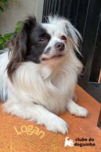 WhatsApp Image 2024-02-15 at 17.00.30 (4)