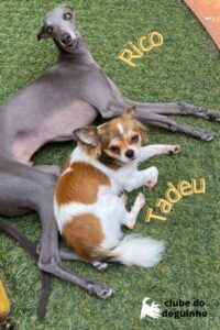 WhatsApp Image 2024-02-15 at 17.00.31 (1)