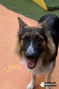 WhatsApp Image 2024-02-15 at 17.00.31 (2)