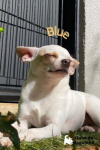 WhatsApp Image 2024-02-15 at 17.00.31