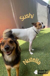 WhatsApp Image 2024-02-15 at 17.00.31 (3)