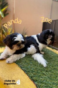 WhatsApp Image 2024-02-15 at 17.00.31 (4)