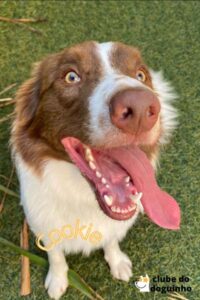 WhatsApp Image 2024-02-15 at 17.00.32 (1)