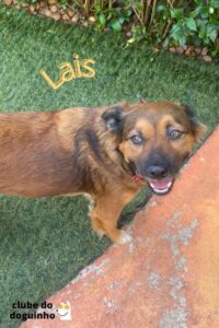 WhatsApp Image 2024-02-15 at 17.00.32 (2)