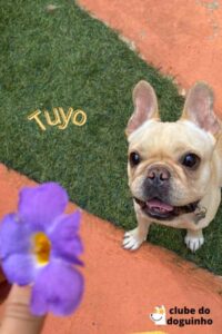 WhatsApp Image 2024-02-15 at 17.00.32