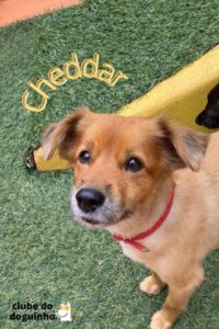 WhatsApp Image 2024-02-15 at 17.00.32 (3)