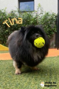 WhatsApp Image 2024-02-15 at 17.00.32 (4)