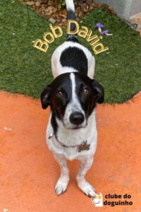 WhatsApp Image 2024-02-15 at 17.00.33 (1)