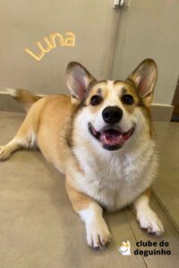 WhatsApp Image 2024-02-15 at 17.00.33 (2)