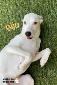 WhatsApp Image 2024-02-15 at 17.00.33