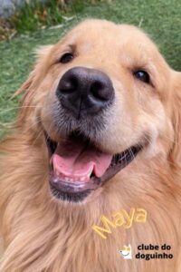 WhatsApp Image 2024-02-15 at 17.00.33 (3)