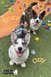 WhatsApp Image 2024-02-15 at 17.00.33 (4)