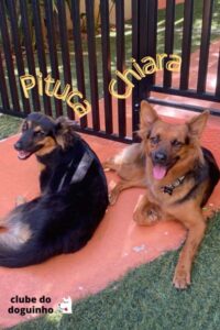 WhatsApp Image 2024-02-15 at 17.00.34 (1)