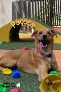 WhatsApp Image 2024-02-15 at 17.00.34 (2)