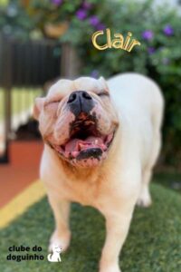 WhatsApp Image 2024-02-15 at 17.00.34 (3)