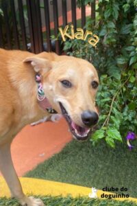 WhatsApp Image 2024-02-15 at 17.00.34 (5)