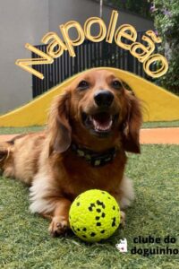 WhatsApp Image 2024-02-15 at 17.01.22 (1)