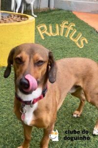 WhatsApp Image 2024-02-15 at 17.01.22 (2)