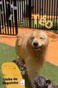 WhatsApp Image 2024-02-15 at 17.01.22