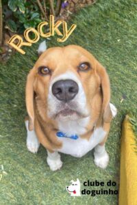 WhatsApp Image 2024-02-15 at 17.01.22 (3)