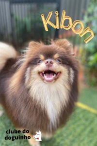 WhatsApp Image 2024-02-15 at 17.01.22 (4)