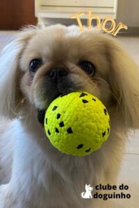 WhatsApp Image 2024-02-15 at 17.01.23