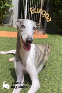 WhatsApp Image 2024-02-15 at 17.01.23 (3)