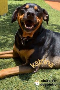 WhatsApp Image 2024-02-15 at 17.01.23 (4)