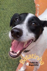 WhatsApp Image 2024-02-15 at 17.01.24 (1)