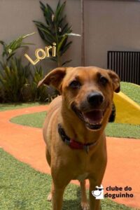 WhatsApp Image 2024-02-15 at 17.01.24 (2)