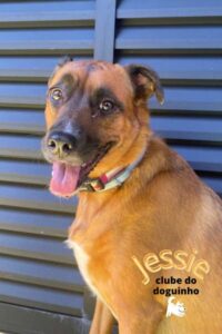 WhatsApp Image 2024-02-15 at 17.01.24