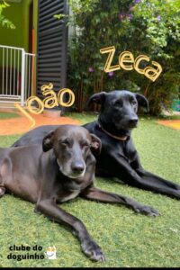 WhatsApp Image 2024-02-15 at 17.01.25 (1)