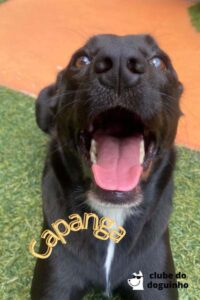 WhatsApp Image 2024-02-15 at 17.01.25 (2)