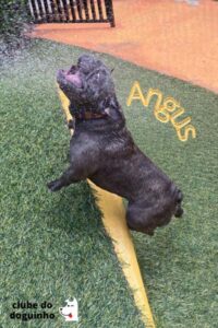 WhatsApp Image 2024-02-16 at 14.44.45 (1)